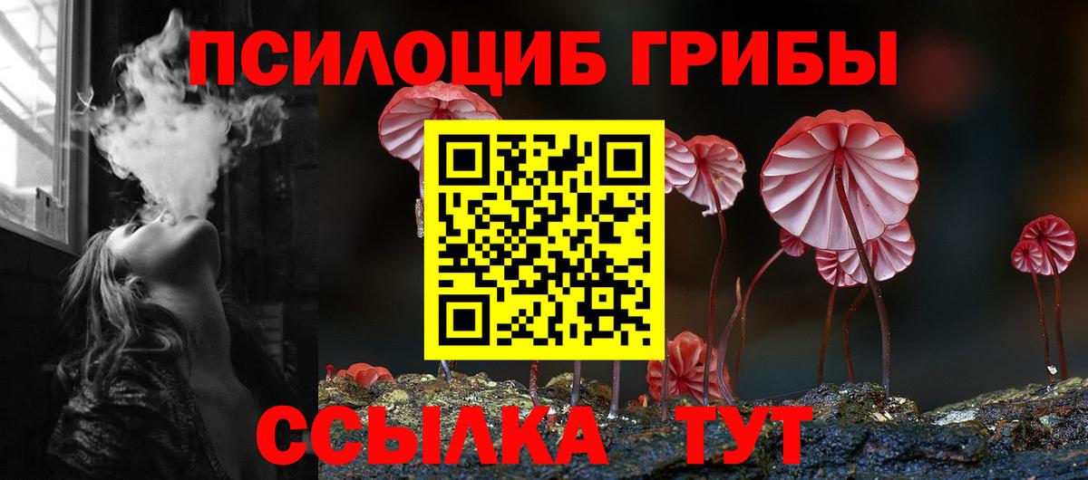 закладка  Псилоцибиновые грибы Psilocybe  Вход с VPN  Майкоп 