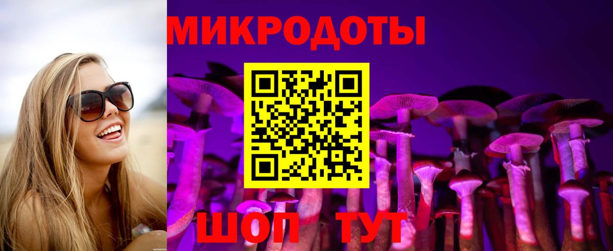 Псилоцибиновые грибы мухоморы Майкоп